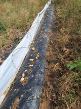 팜모닝 농사, 무엇이든 물어보세요!·참여글 게시글 이미지