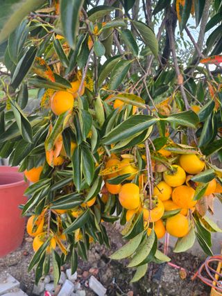 자연인님의 자유주제 · 자유게시판 작성글 사진