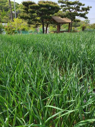 감11209님의 자유주제 · 자유게시판 작성글 사진