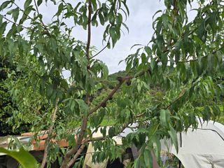 노아님의 자유주제 · 자유게시판 작성글 사진