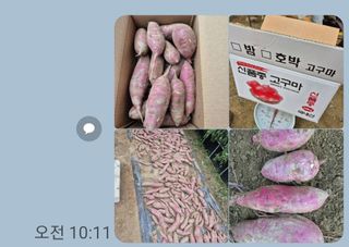 임마누엘님의 자유주제 · 사진전 작성글 사진