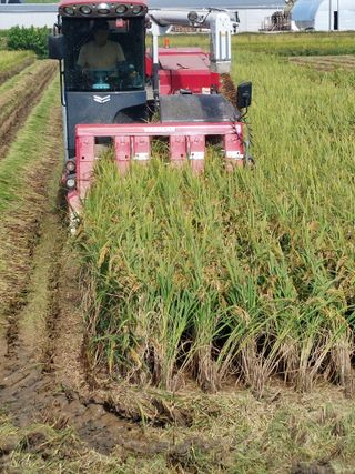 재연농장님의 자유주제 · 자유게시판 작성글 사진
