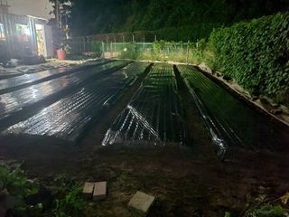 땅땅님의 자유주제 · 자유게시판 작성글 사진