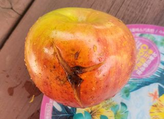 김종명님의 자유주제 · 자유게시판 작성글 사진