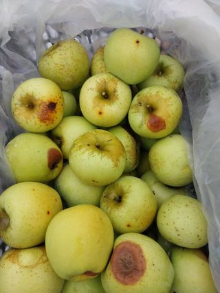 시골살이님의 자유주제 · 자유게시판 작성글 사진