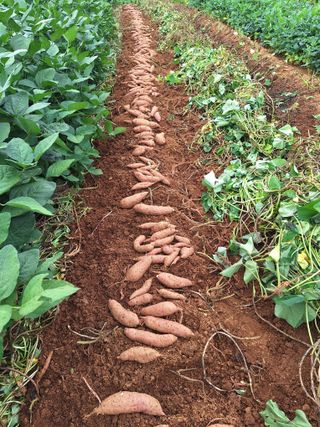 김용환님의 자유주제 · 자유게시판 작성글 사진