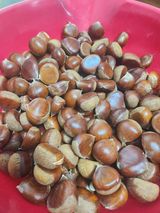 팜모닝 자유주제·자유게시판 게시글 이미지