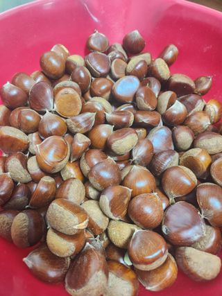 강물님의 자유주제 · 자유게시판 작성글 사진