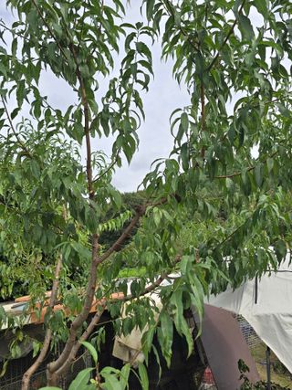 노아님의 자유주제 · 자유게시판 작성글 사진