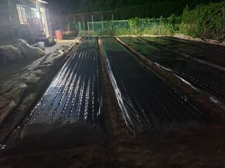 땅땅님의 자유주제 · 자유게시판 작성글 사진