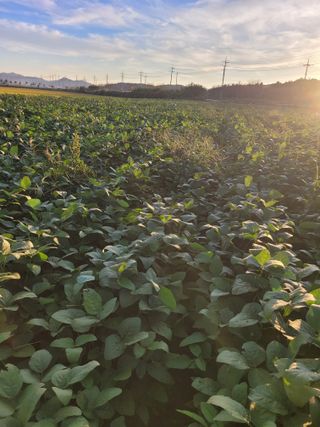 희찬(김동필)님의 자유주제 · 자유게시판 작성글 사진