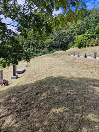 낙엽교목류21691님의 자유주제 · 자유게시판 작성글 사진