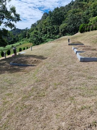 낙엽교목류21691님의 자유주제 · 자유게시판 작성글 사진