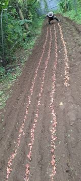 팜모닝 자유주제·자유게시판 게시글 이미지