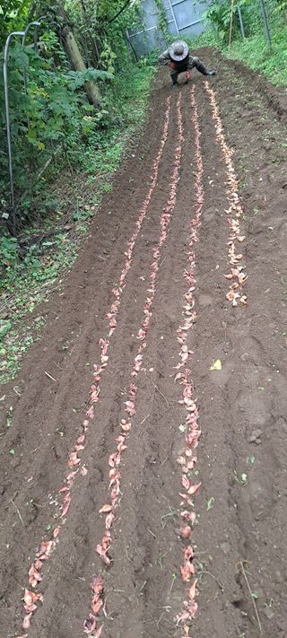 백순분님의 자유주제 · 자유게시판 작성글 사진