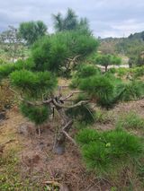 팜모닝 자유주제·사진전 게시글 이미지