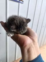 팜모닝 자유주제·자유게시판 게시글 이미지