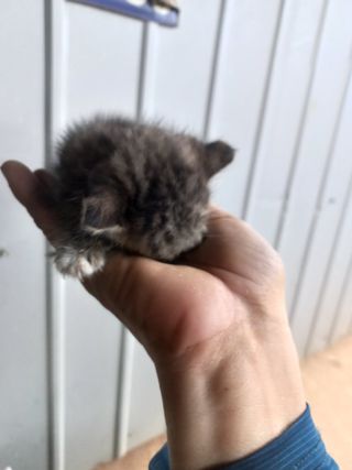 박린님의 자유주제 · 자유게시판 작성글 사진