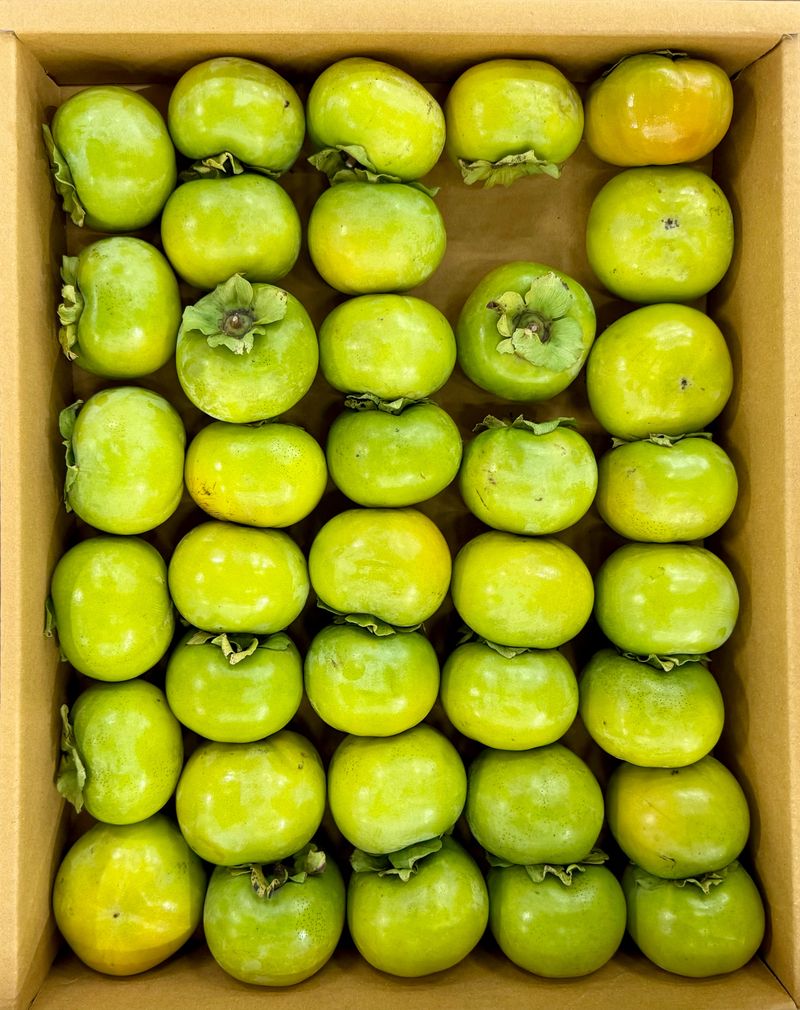 농부손녀님의 장터 판매 상품 [달콤 아삭한 태추단감 2kg 4.5kg 10kg] 첨부 사진