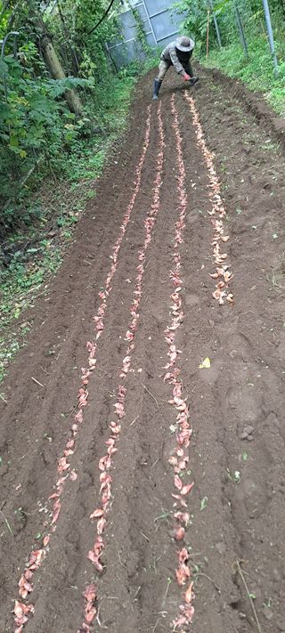백순분님의 자유주제 · 자유게시판 작성글 사진