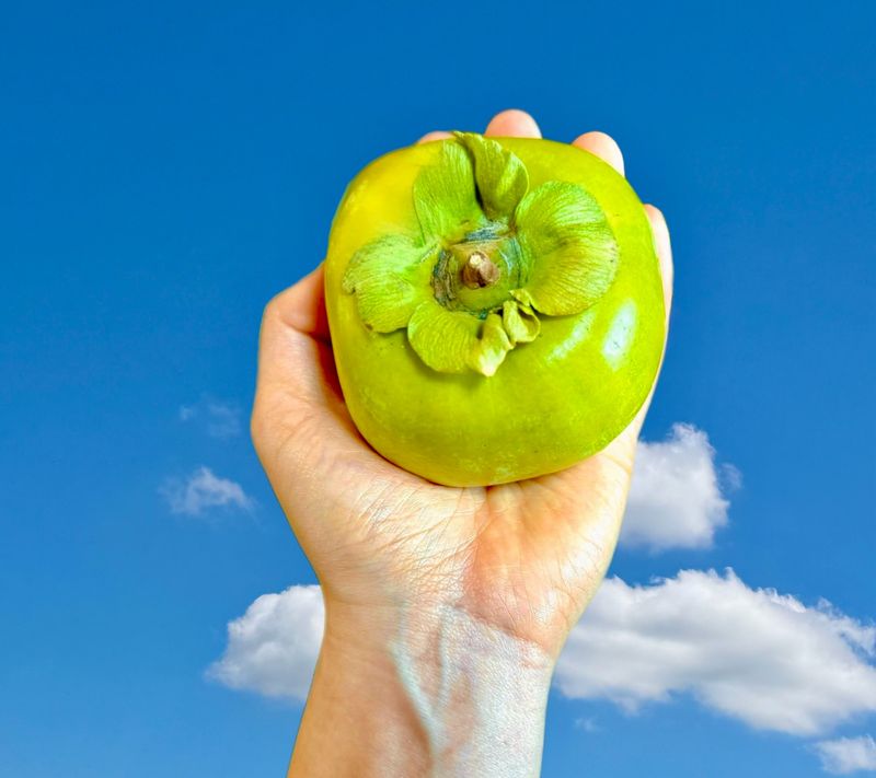 농부손녀님의 장터 판매 상품 [달콤 아삭한 태추단감 2kg 4.5kg 10kg] 첨부 사진