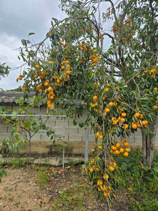 자연인님의 자유주제 · 자유게시판 작성글 사진