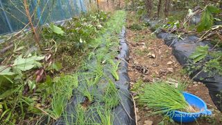 정권옥님의 자유주제 · 자유게시판 작성글 사진