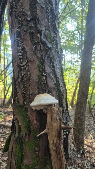 김진님의 자유주제 · 자유게시판 작성글 사진