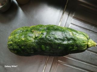 바위돌 심재성님의 자유주제 · 자유게시판 작성글 사진