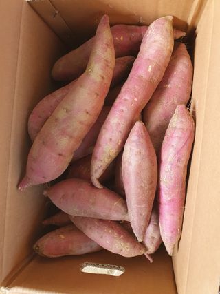 임마누엘님의 작성글 사진