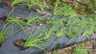 정권옥님의 자유주제 · 자유게시판 작성글 사진