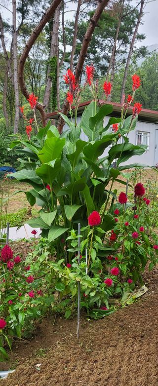 샘골농장 마음만청춘님의 자유주제 · 사진전 작성글 사진