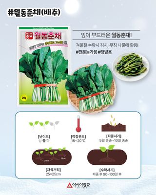 아시아종묘님의 자유주제 · 자유게시판 작성글 사진