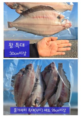 농수사님의 작성글 사진