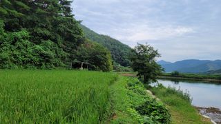 권리를위한투쟁님의 자유주제 · 자유게시판 작성글 사진