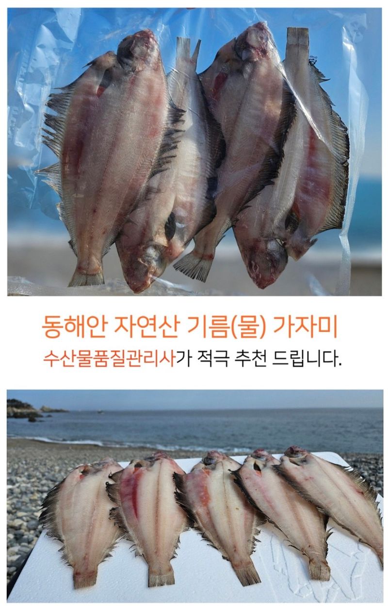 농수사님의 장터 판매 상품 [영덕 감포 물가자미 참가자미 ] 첨부 사진