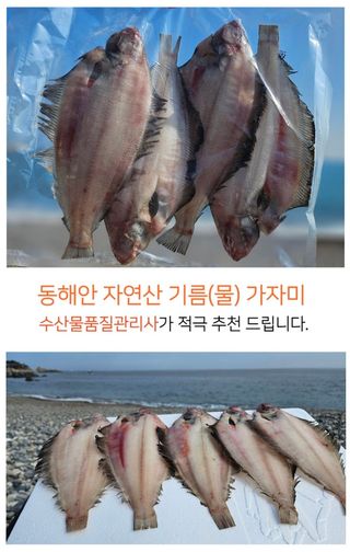 농수사님의 작성글 사진