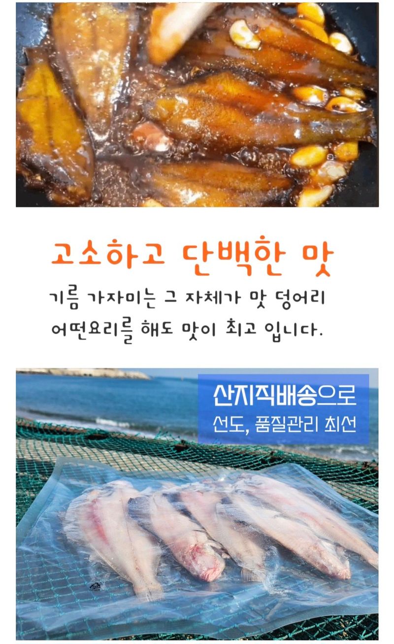 농수사님의 장터 판매 상품 [영덕 감포 물가자미 참가자미 ] 첨부 사진
