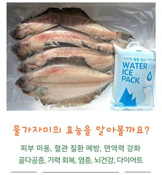 농수사님의 작성글 사진