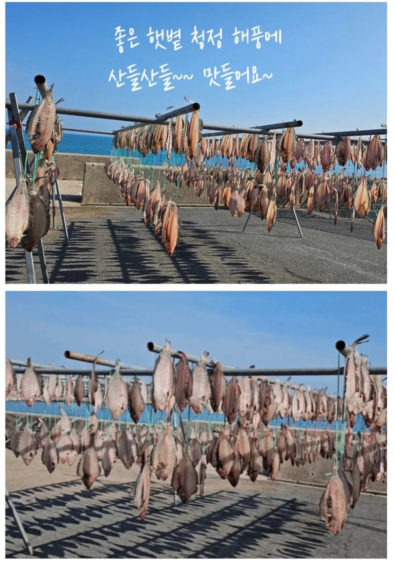 농수사님의 장터 판매 상품 [영덕 감포 물가자미 참가자미 ] 첨부 사진