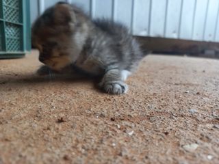 박린님의 자유주제 · 자유게시판 작성글 사진