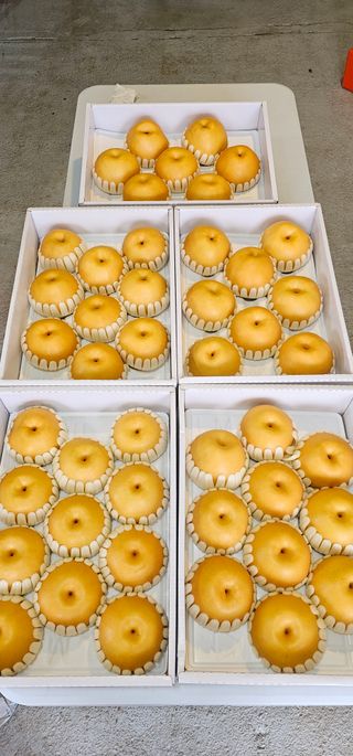 박진오님의 자유주제 · 자유게시판 작성글 사진