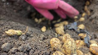 별자리님님의 농사, 무엇이든 물어보세요! · 참여글 작성글 사진