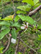 팜모닝 자유주제·자유게시판 게시글 이미지