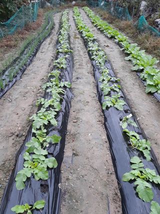 조동원님의 자유주제 · 자유게시판 작성글 사진