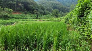 권리를위한투쟁님의 자유주제 · 자유게시판 작성글 사진