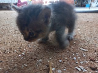 박린님의 자유주제 · 자유게시판 작성글 사진