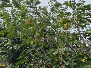 블루베리14645님의 자유주제 · 자유게시판 작성글 사진