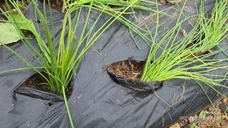 정권옥님의 자유주제 · 자유게시판 작성글 사진