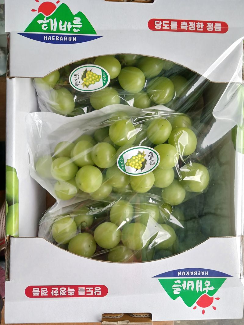 이인자님의 장터 판매 상품 [샤인머스켓2Kg, 4Kg] 첨부 사진